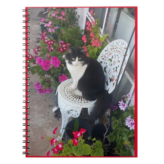 Tuxedo Cat Cute Flowers Katten Birthday Card Notitieboek (Voorkant)