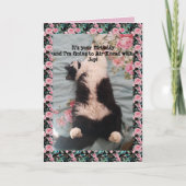 Tuxedo Cat Cute Funny Air Kneading Cats Roos Card Kaart (Voorkant)