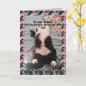Tuxedo Cat Cute Funny Air Kneading Cats Roos Card Kaart (Gele Bloem)