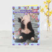 Tuxedo Cat Cute Funny Air Kneading Cats Viola Card Kaart (Gele Bloem)
