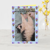 Tuxedo Cat Cute Funny Air Kneading Cats Viola Card Kaart (Gele Bloem)