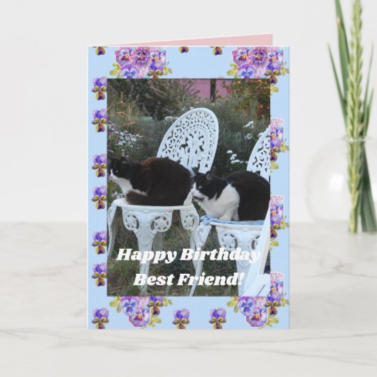Tuxedo Cat Cute Funny Birthday Friend Cats Card Kaart (Voorkant)