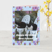 Tuxedo Cat Cute Funny Birthday Friend Cats Card Kaart (Gele Bloem)