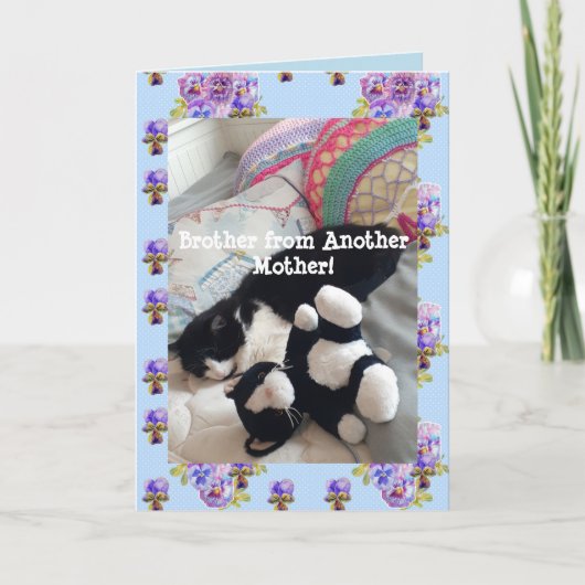 Tuxedo Cat Cute Funny Brother Cats Card Kaart (Voorkant)