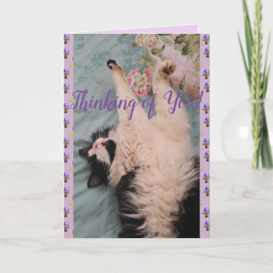 Tuxedo Cat Cute Funny Denking You Card Kaart