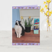 Tuxedo Cat Cute Funny Denking You Love Card Kaart (Gele Bloem)