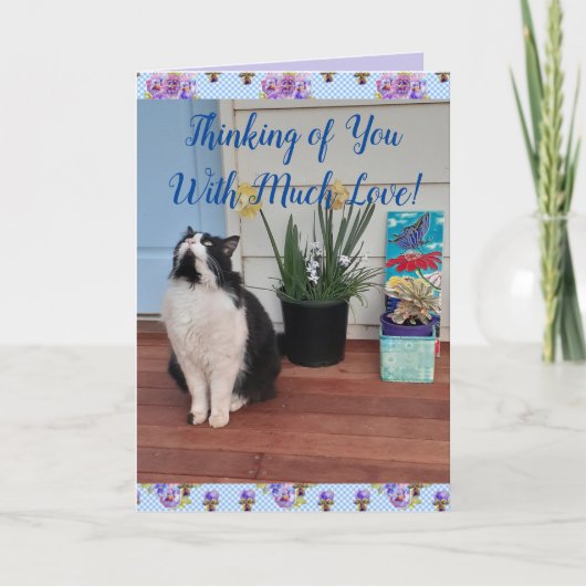 Tuxedo Cat Cute Funny Denking You Love Card Kaart (Voorkant)