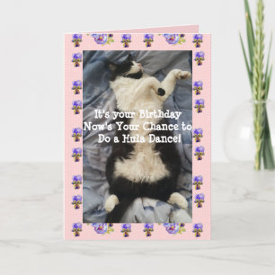 Tuxedo Cat Cute Funny Doing a Hula Dance Cats Card Kaart