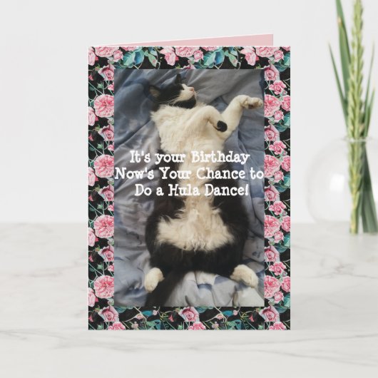 Tuxedo Cat Cute Funny Doing a Hula Dance Cats Card Kaart (Voorkant)