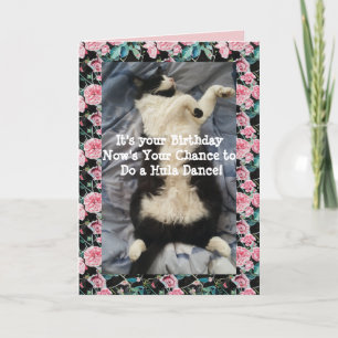Tuxedo Cat Cute Funny Doing a Hula Dance Cats Card Kaart