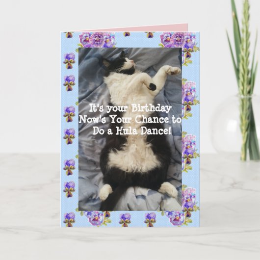 Tuxedo Cat Cute Funny Doing a Hula Dance Cats Card Kaart (Voorkant)