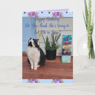 Tuxedo Cat Cute Funny Floral Happy Birthday-kaart Kaart