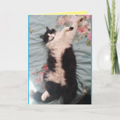 Tuxedo Cat Cute Funny Humor Slapende Kat Card Kaart (Voorkant)