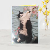 Tuxedo Cat Cute Funny Humor Slapende Kat Card Kaart (Gele Bloem)