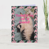 Tuxedo Cat Cute Funny Quote Air Kneading Card Kaart (Voorkant)