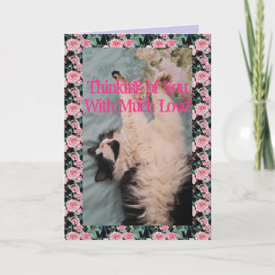 Tuxedo Cat Cute Funny Quote Air Kneading Card Kaart