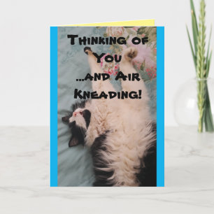 Tuxedo Cat Cute Funny Quote Air Kneading Card Kaart
