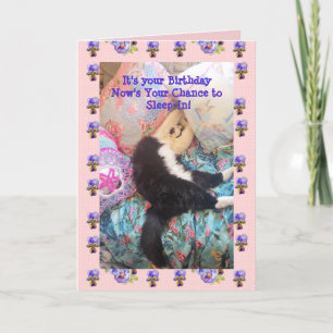 Tuxedo Cat Cute Funny Slapen Viola Card Kaart