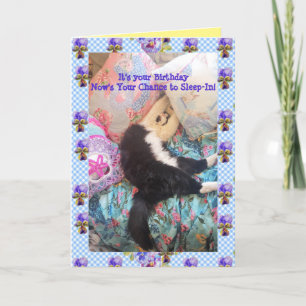 Tuxedo Cat Cute Funny Slapen Viola Card Kaart