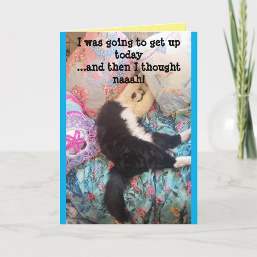 Tuxedo Cat Cute Funny Slapende Cats Birthday Card Kaart (Voorkant)
