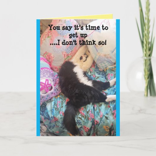 Tuxedo Cat Cute Funny Slapende Cats Birthday Card Kaart (Voorkant)