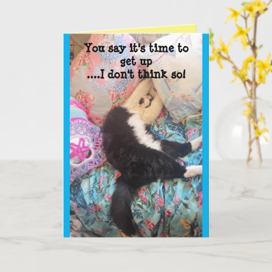Tuxedo Cat Cute Funny Slapende Cats Birthday Card Kaart (Gele Bloem)