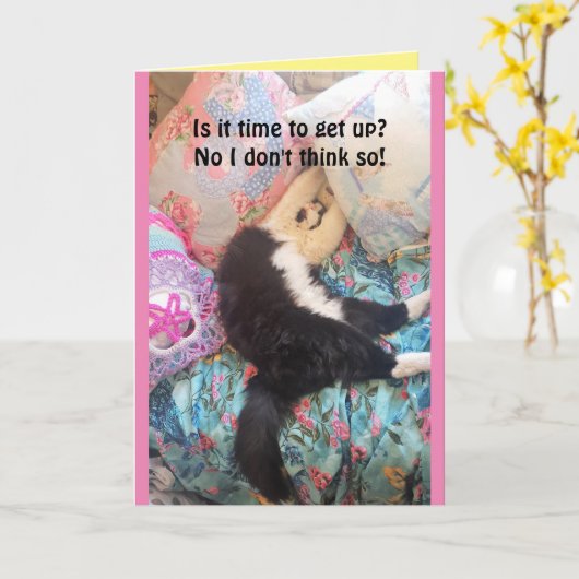 Tuxedo Cat Cute Funny Slapende Cats Birthday Card Kaart (Gele Bloem)