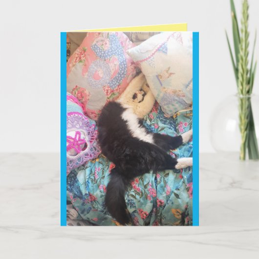 Tuxedo Cat Cute Funny Slapende Cats Birthday Card Kaart (Voorkant)