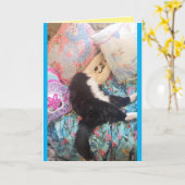 Tuxedo Cat Cute Funny Slapende Cats Birthday Card Kaart (Gele Bloem)