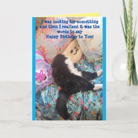 Tuxedo Cat Cute Funny Slapende Cats Birthday Card Kaart (Voorkant)