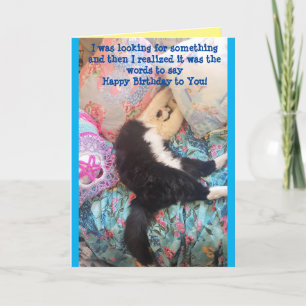Tuxedo Cat Cute Funny Slapende Cats Birthday Card Kaart