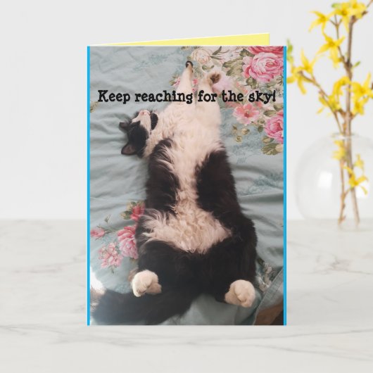 Tuxedo Cat Cute Funny Slapende Cats Kneading Card Kaart (Gele Bloem)