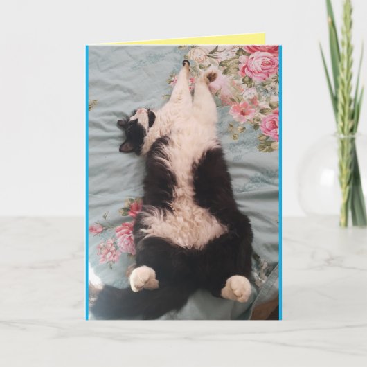 Tuxedo Cat Cute Funny Slapende Cats Kneading Card Kaart (Voorkant)