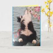Tuxedo Cat Cute Funny Slapende Cats Kneading Card Kaart (Gele Bloem)