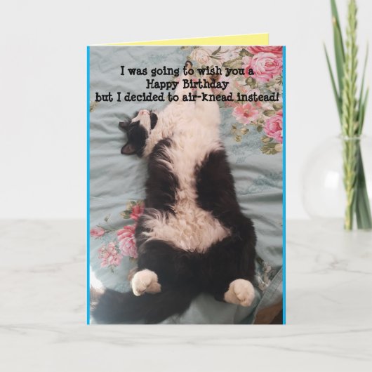 Tuxedo Cat Cute Funny Slapende Cats Kneading Card Kaart (Voorkant)