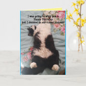 Tuxedo Cat Cute Funny Slapende Cats Kneading Card Kaart (Gele Bloem)
