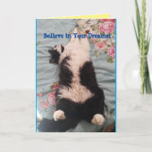 Tuxedo Cat Cute Funny Slapende Cats Kneading Card Kaart (Voorkant)