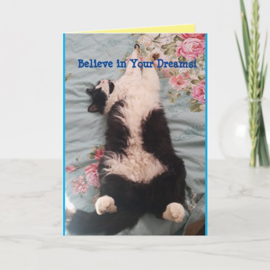 Tuxedo Cat Cute Funny Slapende Cats Kneading Card Kaart (Voorkant)