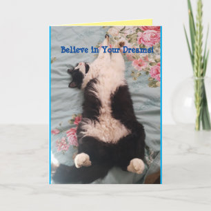Tuxedo Cat Cute Funny Slapende Cats Kneading Card Kaart