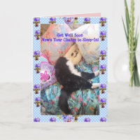 Tuxedo Cat Cute Funny Slapende Cats krijgen een go