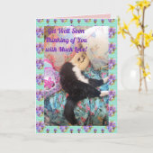 Tuxedo Cat Cute Funny Slapende Cats krijgen een go Kaart (Gele Bloem)