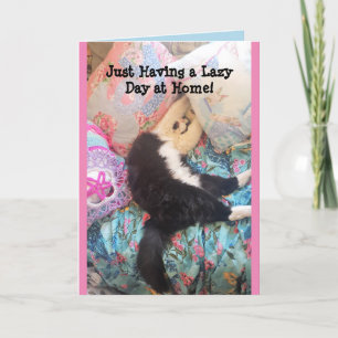 Tuxedo Cat Cute Funny Slapende Cats Lazy Day Card Kaart