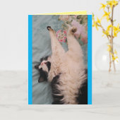 Tuxedo Cat Cute Funny Sleeping Air Kneading Card Kaart (Gele Bloem)