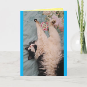 Tuxedo Cat Cute Funny Sleeping Air Kneading Card Kaart