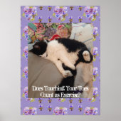 Tuxedo Cat Cute Funny Toes Cats Poster (Voorkant)