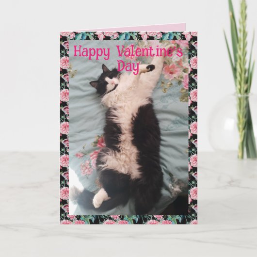 Tuxedo Cat Cute Funny Valentines Day Happy Dance Kaart (Voorkant)