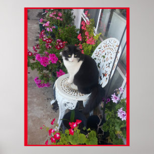 Tuxedo Cat Cute met  bloemen zwarte katten Poster