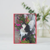 Tuxedo Cat Cute met Briefkaart bloemen (Staand voorkant)