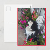 Tuxedo Cat Cute met Briefkaart bloemen (Voorkant / Achterkant)