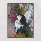 Tuxedo Cat Cute met Briefkaart  bloemen (Voorkant)
